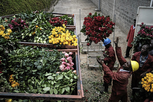 Covid-19 disrupts African flower producers