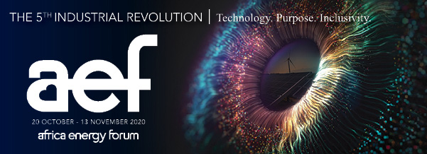 Africa Energy Forum 2020