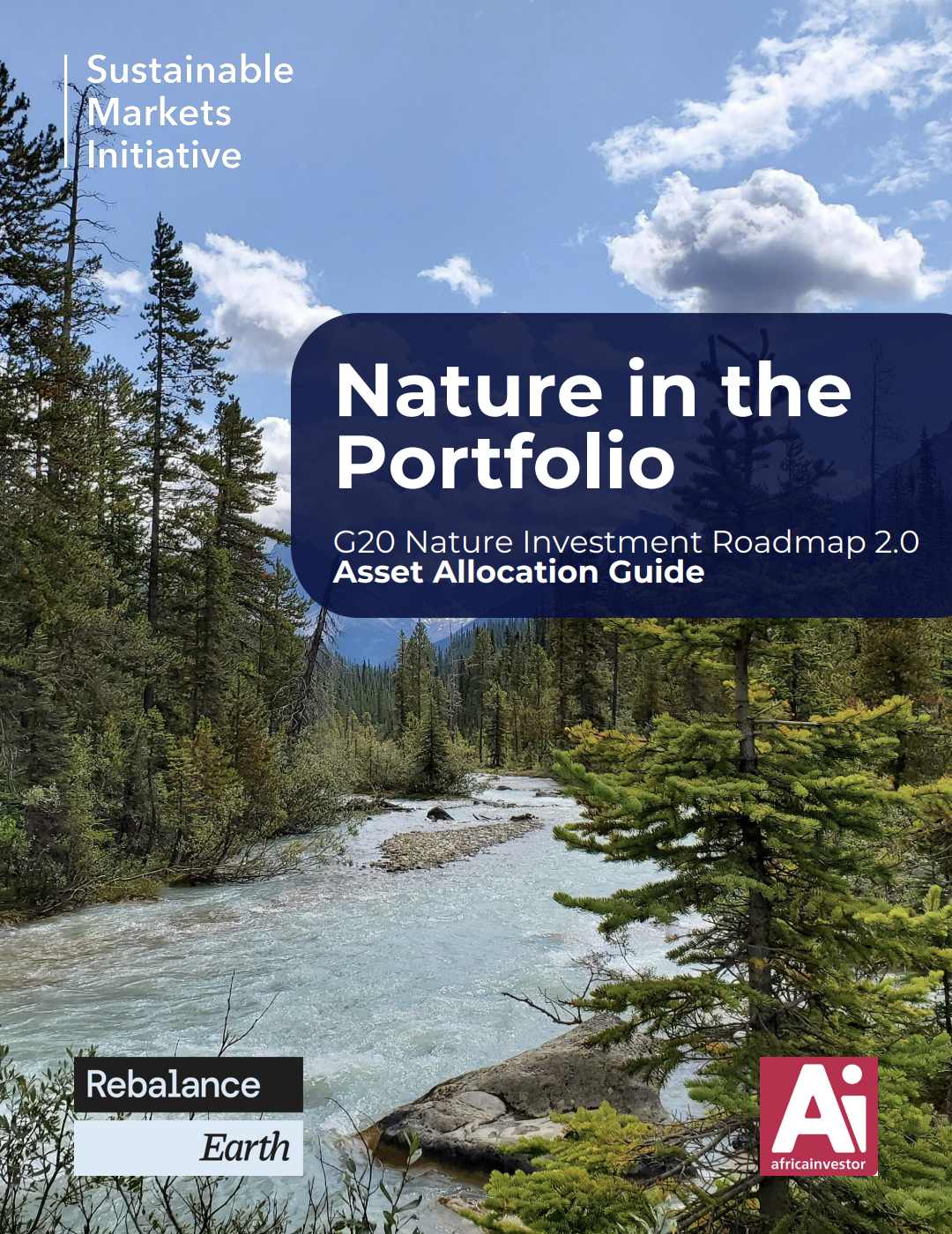 Nature in the Portfolio - G20 Nature Investment Roadmap 2.0 Asset Allocation Guide