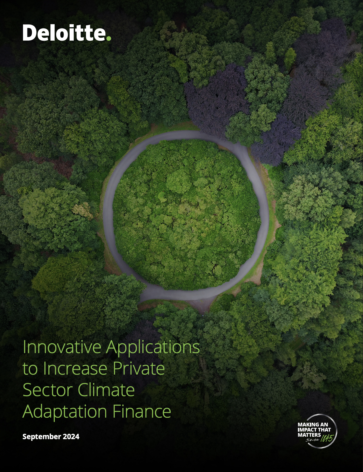Innovative Applications to Increase Private Sector Climate Adaptation Finance